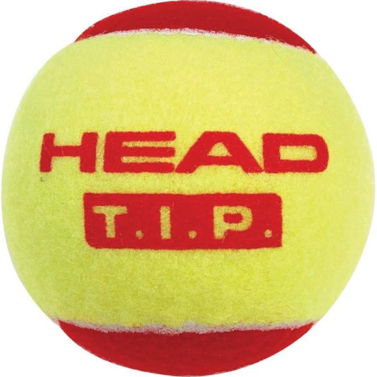 Tennisball HEAD TIP 1  Sandro Oberwil
