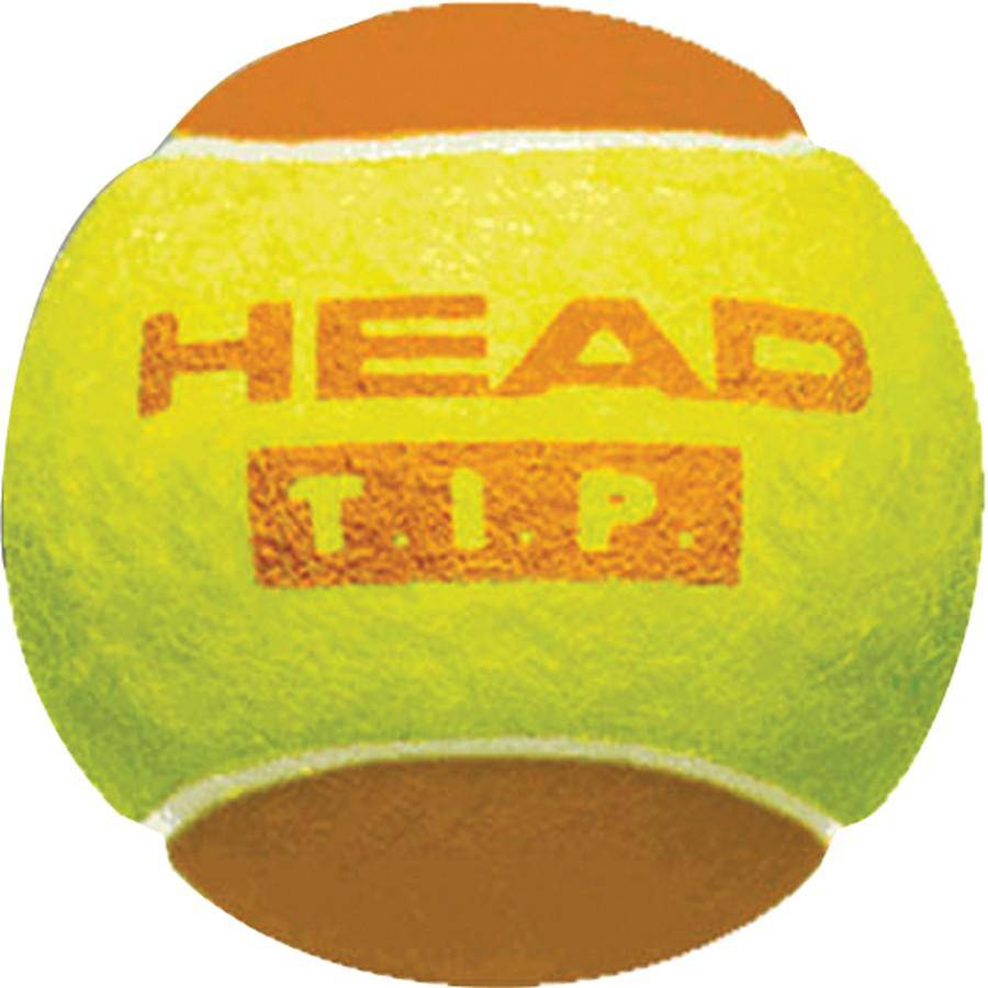 Tennisball HEAD TIP 2  Sandro Oberwil