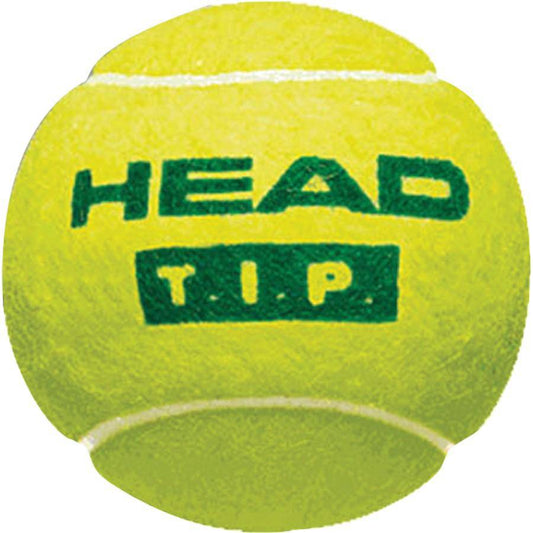 Tennisball HEAD TIP 3  Sandro Oberwil